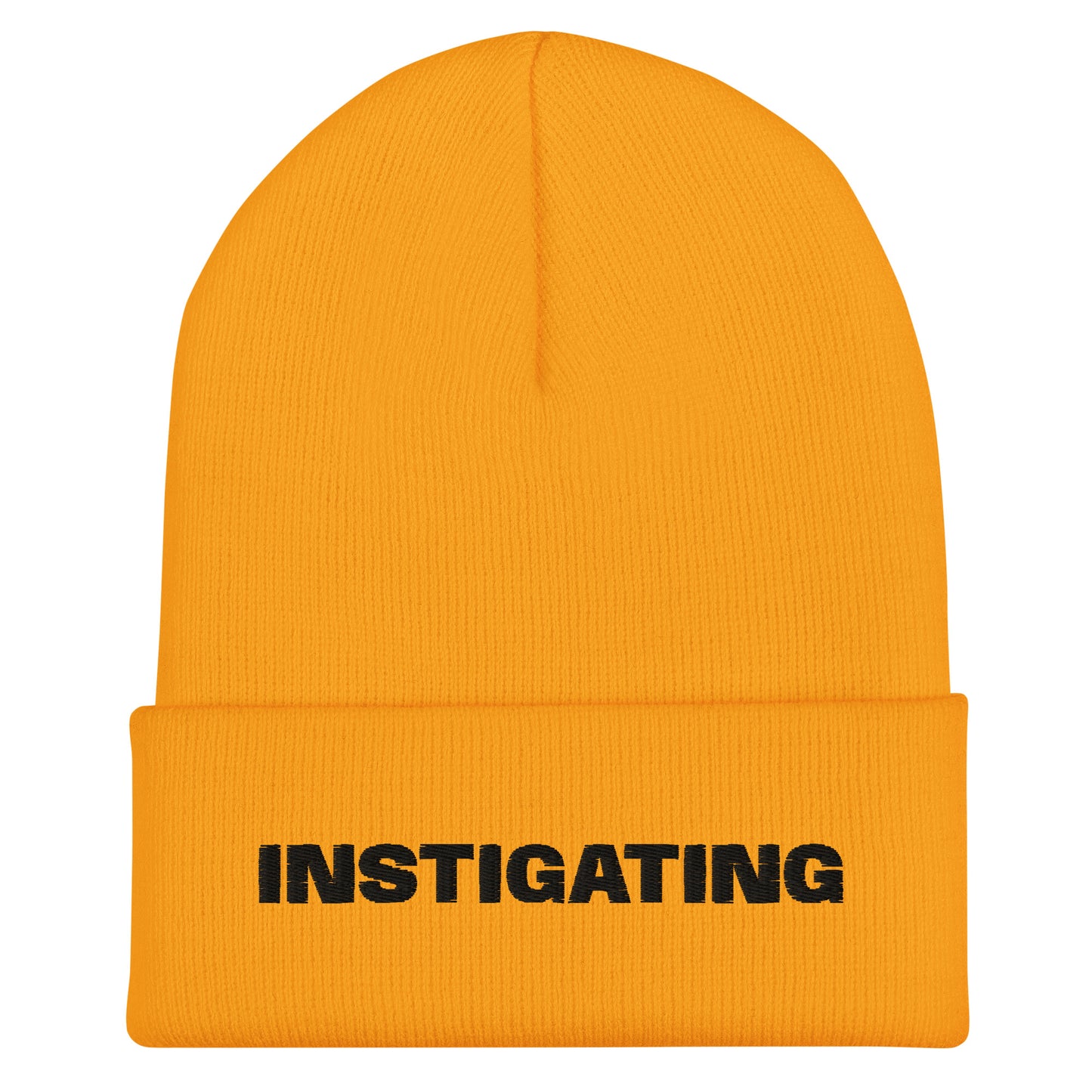 INSTIGATING PENALTY BEANIE