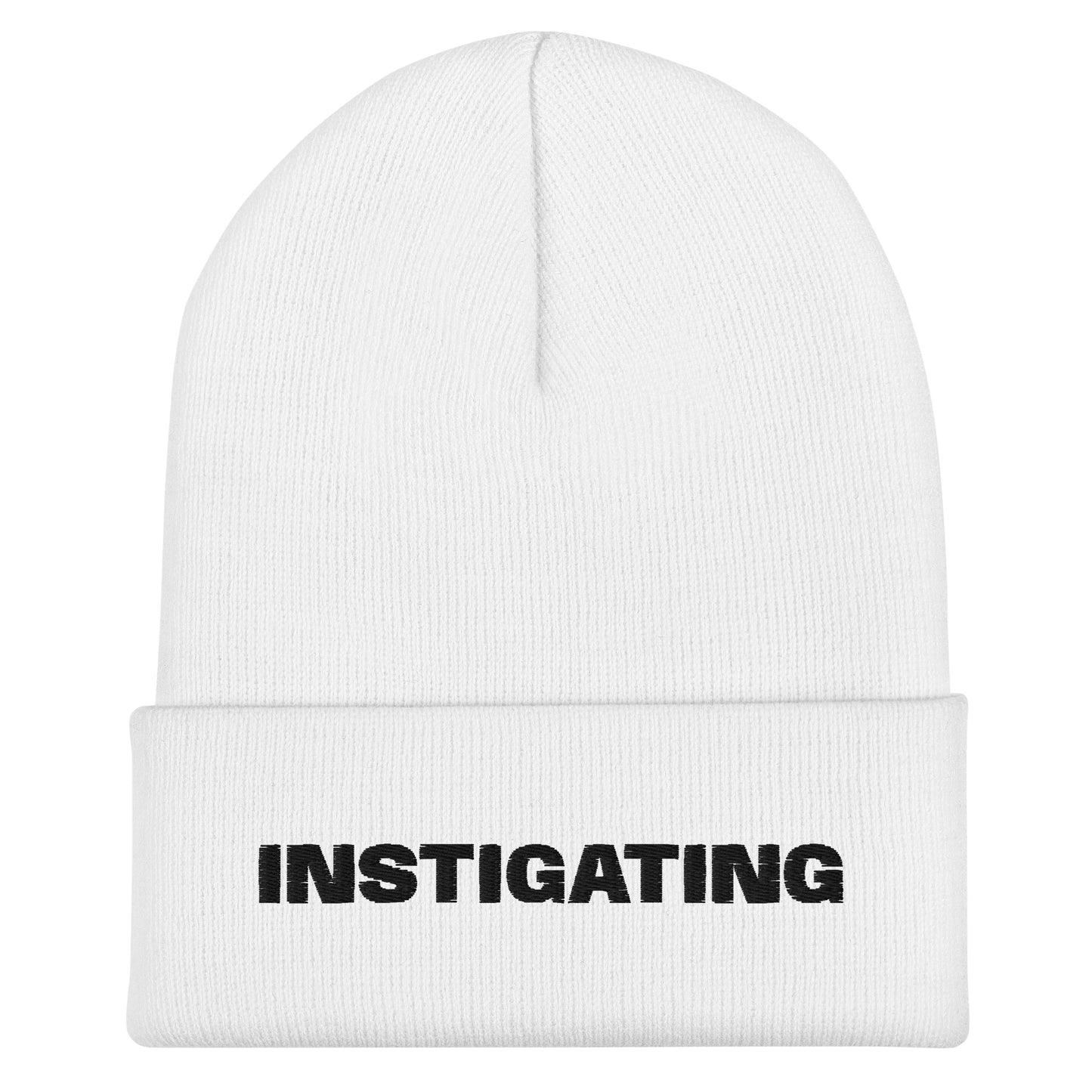 INSTIGATING PENALTY BEANIE