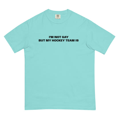 NOT GAY TEE