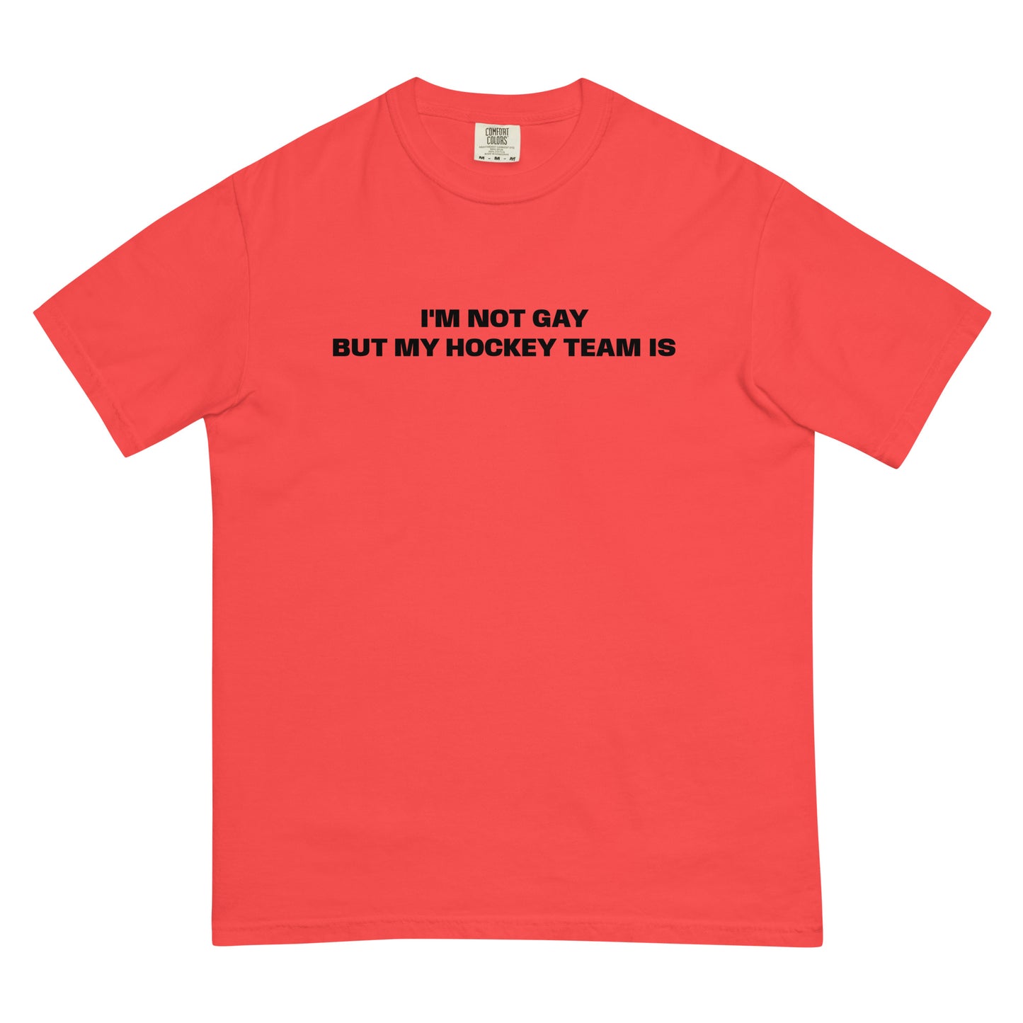 NOT GAY TEE