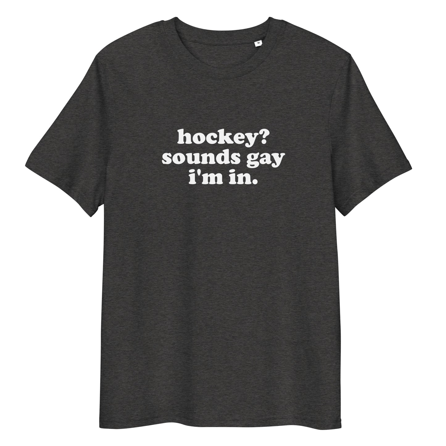 SOUNDS GAY TEE